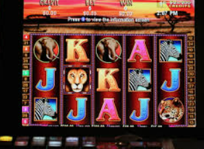 旺财28APP免费版