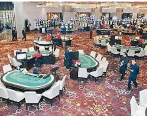 旺财28APP桌面版客户端