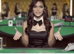 旺财28APP电脑免费版